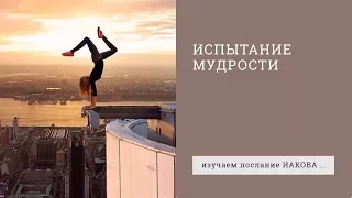 Иакова 3:13-18. Испытание мудрости | Андрей Вовк | Слово Истины