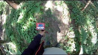 Поиск старины и кладов с магнитометром в лесу