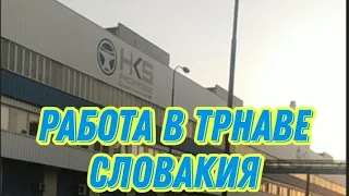 Моя работа в Словакии. Вся правда как есть....🤷