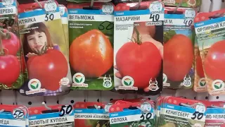 Топ 5 семян томатов на 2024: Новые открытия!