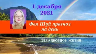 1 декабря 2021 года // Проживите этот день достойно!