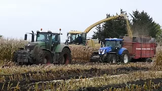 Fendt 933 Vario Pulling Stuck Tractors Out Of The Mud All Day | Maize Chopping | Häckseln 2017