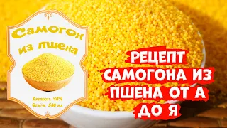 Рецепт самогон из пшена! (Люксталь 7М). Спиртовые турбо дрожжи LEYKA RED.