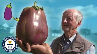 Giant Vegetable Championship - Guinness World Records