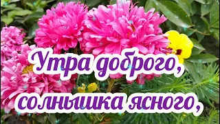 Утра доброго, солнышка ясного! Доброе утро! С Добрым утром открытка Солнечное пожелание доброго утра