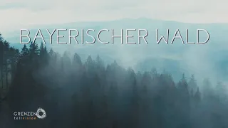 "Grenzenlos - Die Welt entdecken" im Bayerischen Wald mit Nina Heinemann