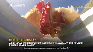 Хто п’є з відра