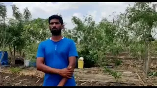 Shri Ravikumar progressive farmer Ibrahimpura Bellary taljka