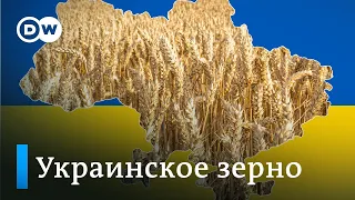 Украинское зерно: как заминированные поля и заблокированные порты сказываются на фермера