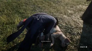 Высосал яд змеи - RDR2 / Sucked Snake Poison - RDR2