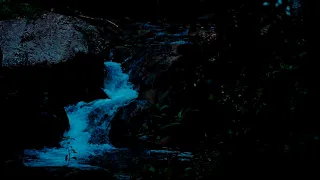 Serenity's Whisper - Embrace Tranquility with Night River Sounds