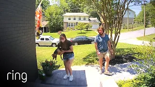 Family Dog Escaped & Lost Wallet Made Its Way Home Thanks to a Kind Stranger | Neighborhood Stories