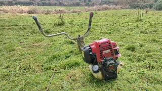 It Begins  - Again !  First Brushcutting of 2023 - Oregon Flexiblade - Honda Brushcutter