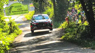 Rally Dolina Zelenega Zlata 2023 - Crash, Mistakes and Max Attack