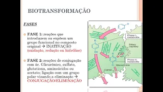 BIOTRANSFORMAÇÃO DE FÁRMACOS PARTE 1