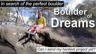 Fontainebleau Bouldering - My Dream Boulder!