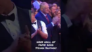 WWE HALL OF FAME 2022: Steiner Brothers