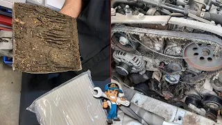Customer States Their Car Smells Moldy All The Time