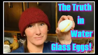 🍳 Water Glass Eggs & The Truth About Them 🍳