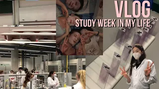 VLOG | study week in my life |  обучение в Чехии