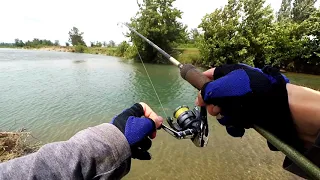 Kot FishingTV vs მონსტრი ქაშაპები (გიგანტი ბომბორა ქაშაპები წნულს წყვიტავენ )