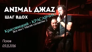 Animal ДжаZ - Шаг вдох. Разговорчики. Мы общаемся с Красовицким. КРАСАВЧИК! Псков 03.11.2016