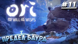 Предел баура. ЗИМА в Ori and the Will of the Wisps (Прохождение) #11