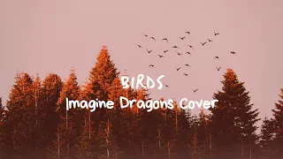 Imagine Dragons - Birds (instrumental Cover)