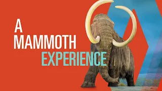 Royal BC Museum "Mammoth Experience" | TV SPOT