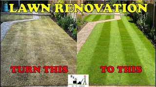 Lawn Renovation - Get results in 5 weeks!