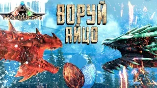 КАК ПОЛУЧИТЬ ЯЙЦО ЛЕДЯНОЙ И ОГНЕННОЙ  ВИВЕРНЫ НА НОВОЙ КАРТЕ VALGUERO - ARK: Survival Evolved