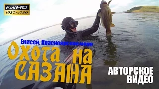 Подводная охота на Енисее. Охота на сазана в Красноярском море (2015, с озвучкой)