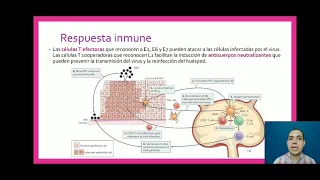 Virus de importancia clínica-Parte 1 Papillomavoridae (VPH) (4/6)