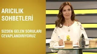 Arıcılık Sohbetleri -  Atomlar Bile Arılardan Örnek Alıyor