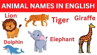 Animal Names In English - Animals Vocabulary - Names Of Animals