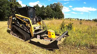 GOLDEN ROD WEED GALORE MOW DOWN WITH THE MEGA MOWER X!