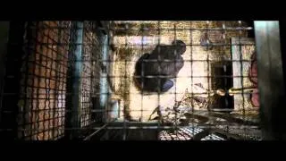 Official Rise of the Planet of the Apes International Trailer (2011) - HD