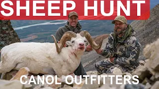 Get Ready for Part 1 of An Epic Dall's Sheep Hunt with Canol Outfitters!