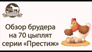 Брудер для 70 цыплят серии Престиж