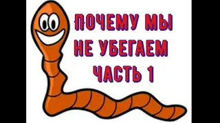 Червь. Что делать что бы червь не убегал из ящиков! Моя мини вермиферма.