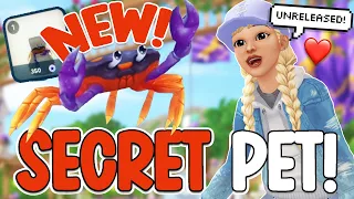 HOW TO GET *SECRET UNRELEASED* PET & WHY STAR STABLE IS NOT WORKING...