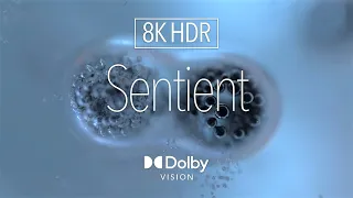 8K HDR Digital Art ｜ Sentient ｜ Dolby Vision™