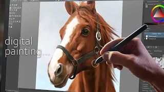 Painting Horse Head | Krita