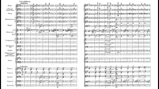 An der schönen blauen Donau Op. 314 - J. Strauss II (Score)