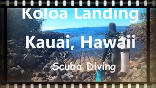 Koloa Landing Scuba Diving