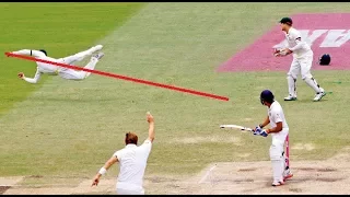 Top 10 Catches in Cricket HISTORY !!