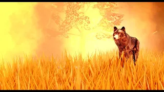 Yellowstone Unleashed | Wolf revamp | Wildfire | hunter | Update