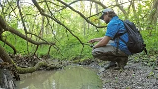 Tiny Creek Fishing after a Flood? (Surprise Catch!)