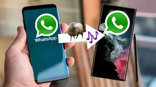 Cómo pasar Toda la información de mi WhatsApp a otro Celular  2023