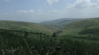 ישראלי שקט חלק ב' - שירים ישנים בשעה רצופה.